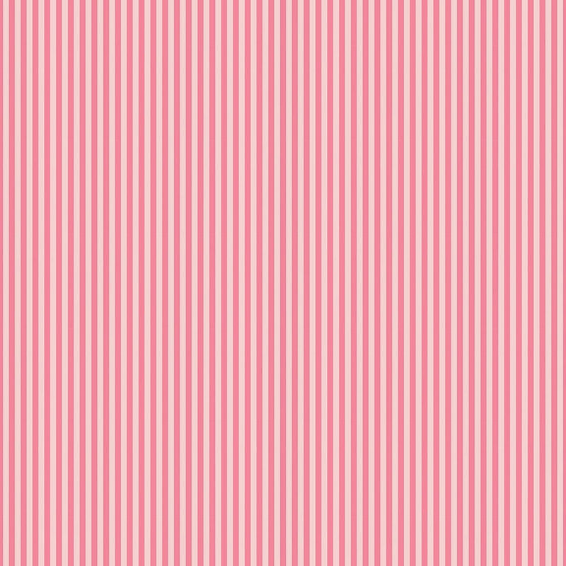 1/8" Tonal Stripes by Riley Blake - Sugar Pink