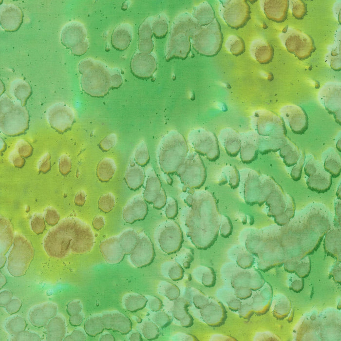 Daydream Acid Wash Pasture