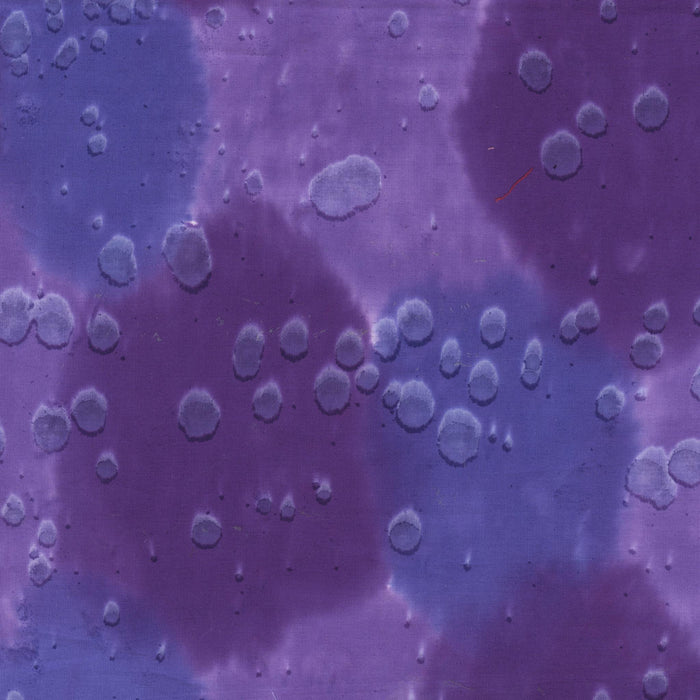 Daydream Acid Wash Oasis