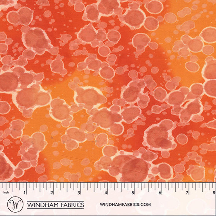 Daydream Acid Wash Harvest