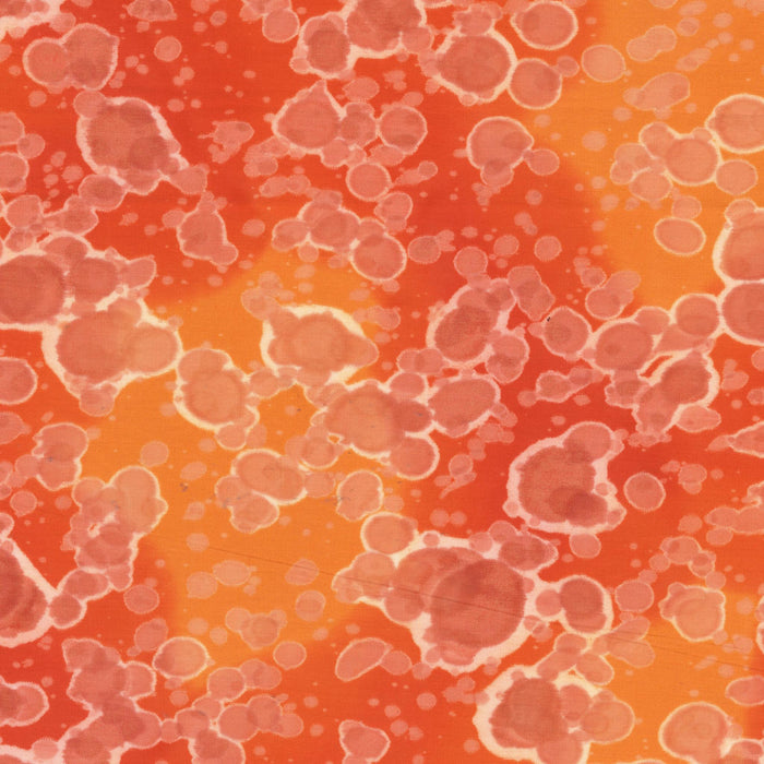 Daydream Acid Wash Harvest