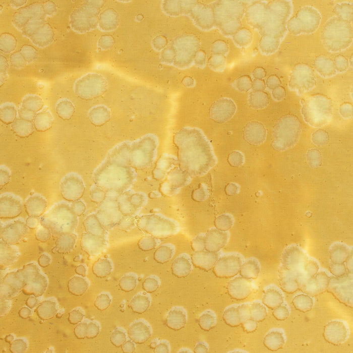 Daydream Acid Wash Straw Yellow