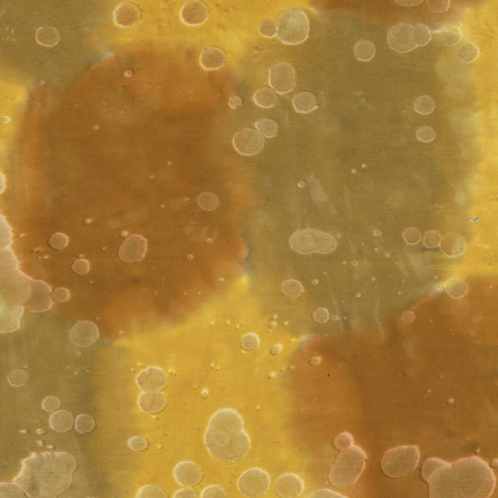 Daydream Acid Wash Earthy