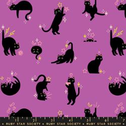 Freaky Familiars - Catwalk - Witchy
