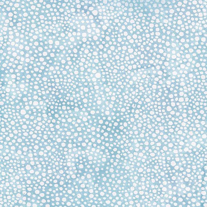 All MN Shop Hop Fabric 2025 - Dots Denim