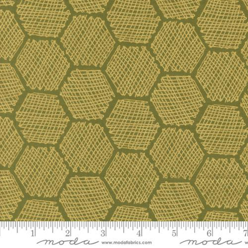 Bee Garden by Gingiber - Honeycomb Geometrics: Ivy