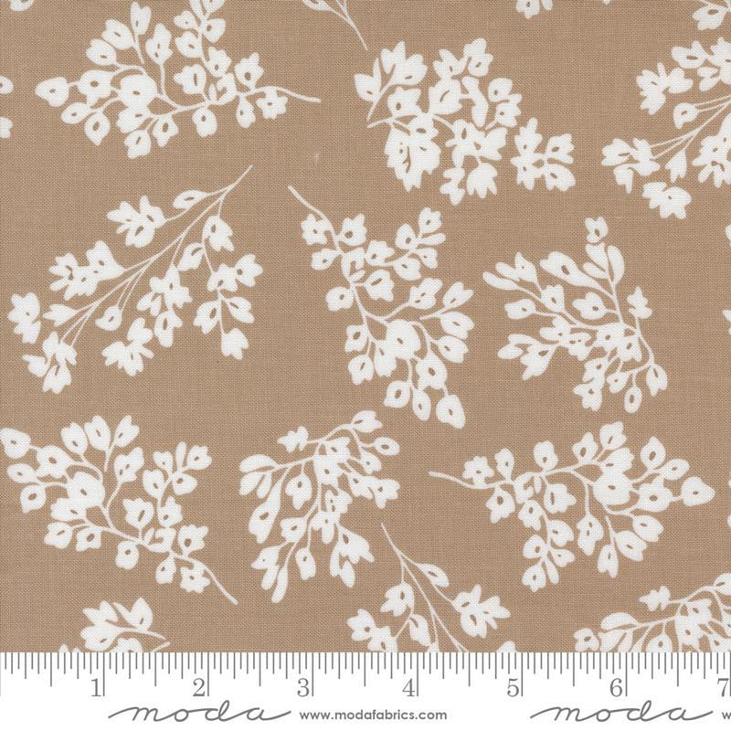 Botany by Alli K Design - Seedlings Earth