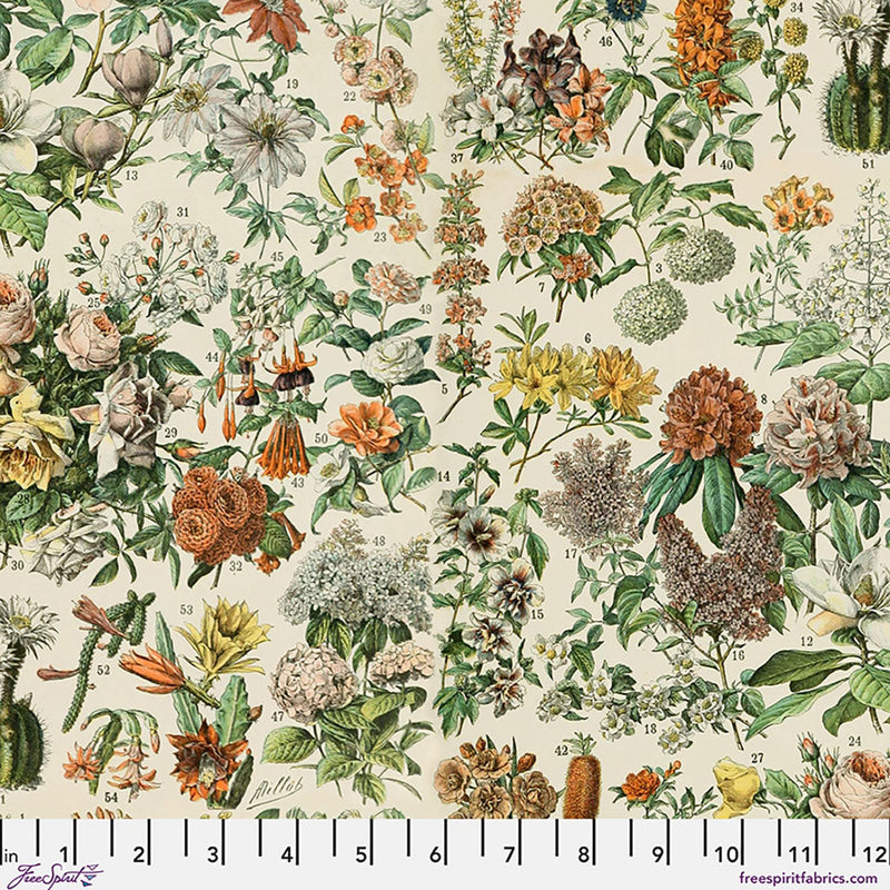 Palette Canvas Cloth - Orange Botanical Canvas - Orange