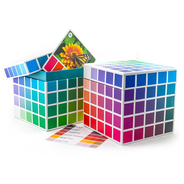Sarah Renae Full Color Cube Suite