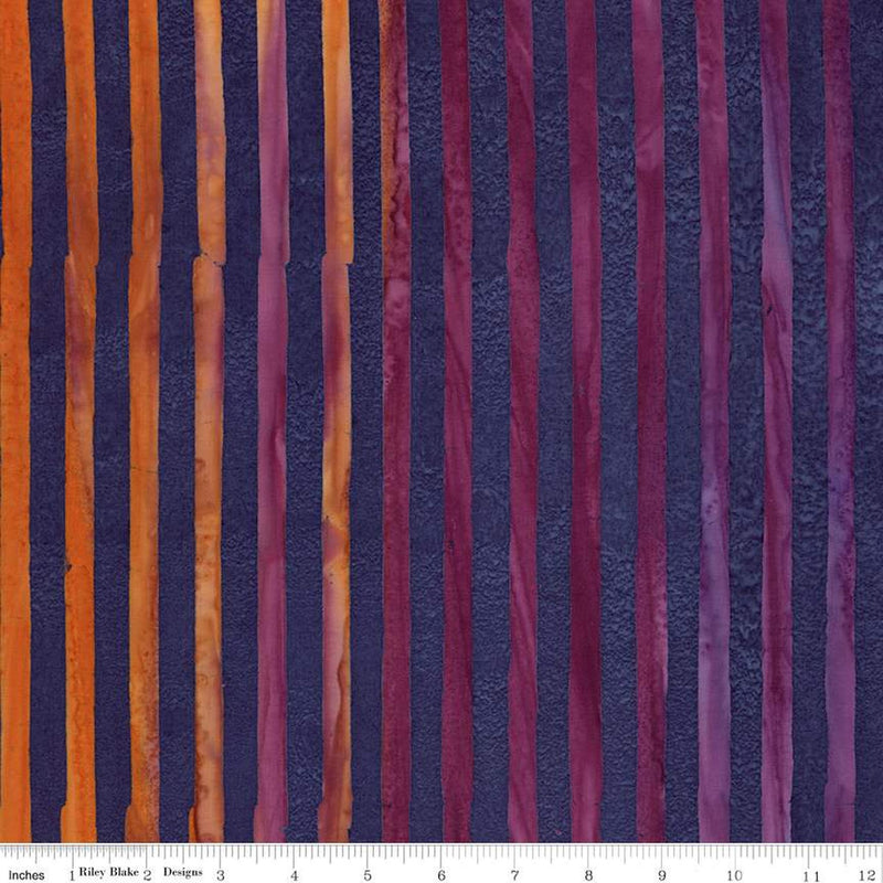 Expressions Batik Elementals by Riley Blake - Get in Line: Dark Skies