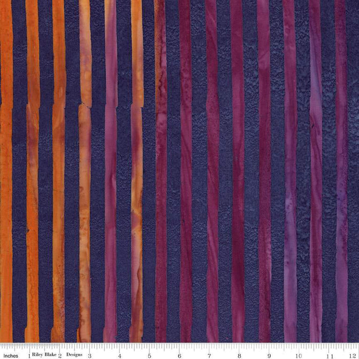 Expressions Batik Elementals by Riley Blake - Get in Line: Dark Skies