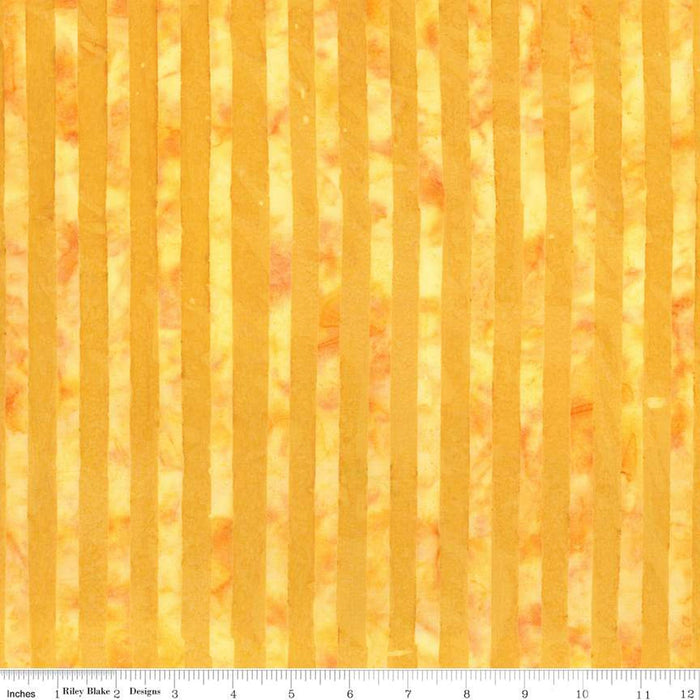 Expressions Batik Elementals by Riley Blake - Get in Line: Sunshine