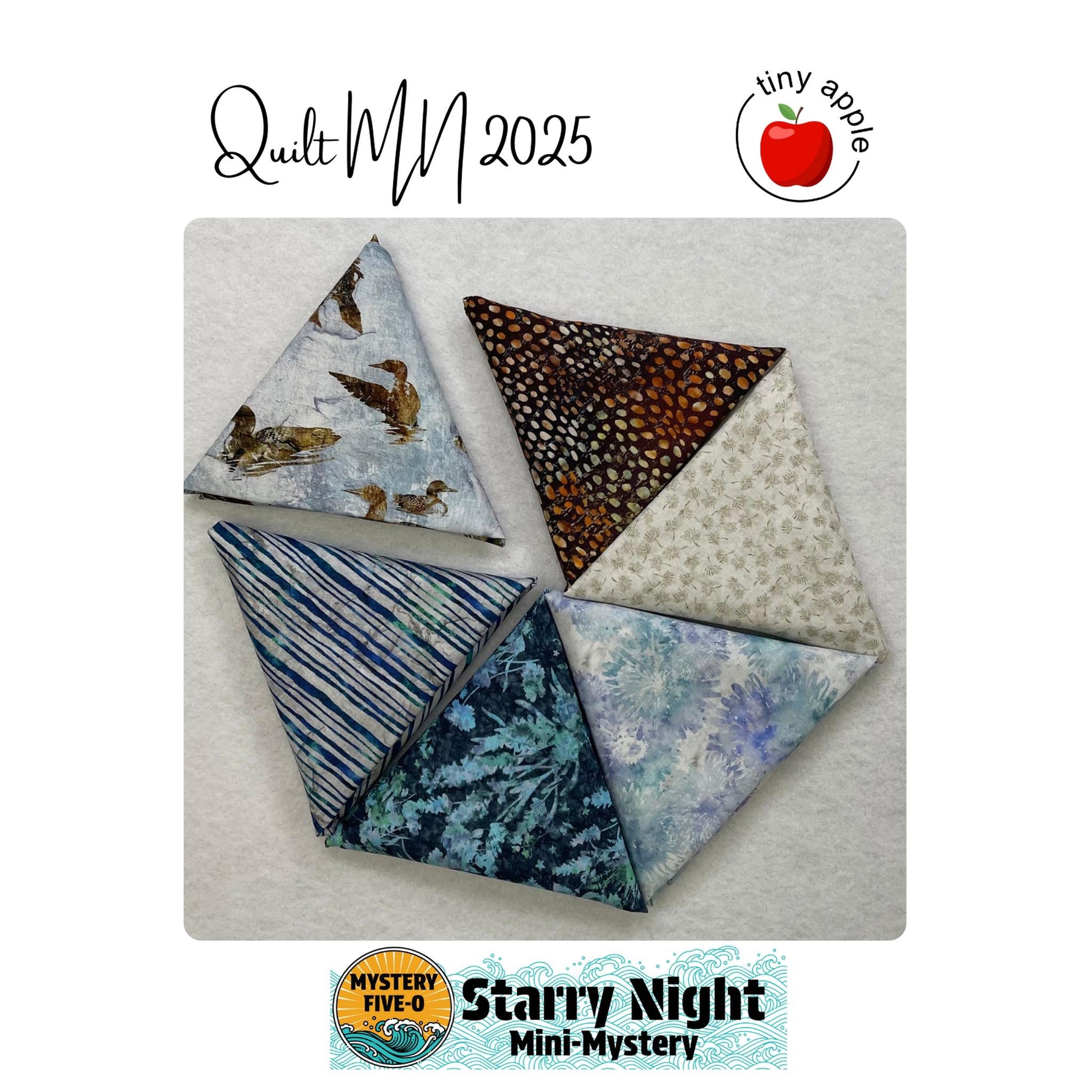 Kit: M50 Starry Night | Quilt MN (Pattern Included) — Gotham Quilts
