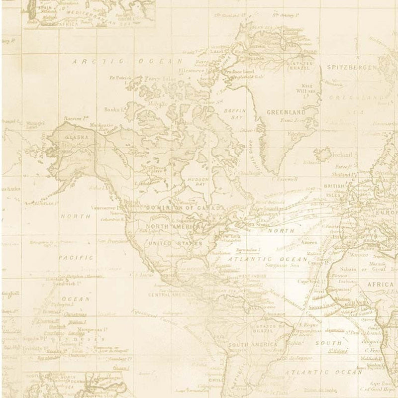 Michael Miller Widebacks Sea Navigation: Beige