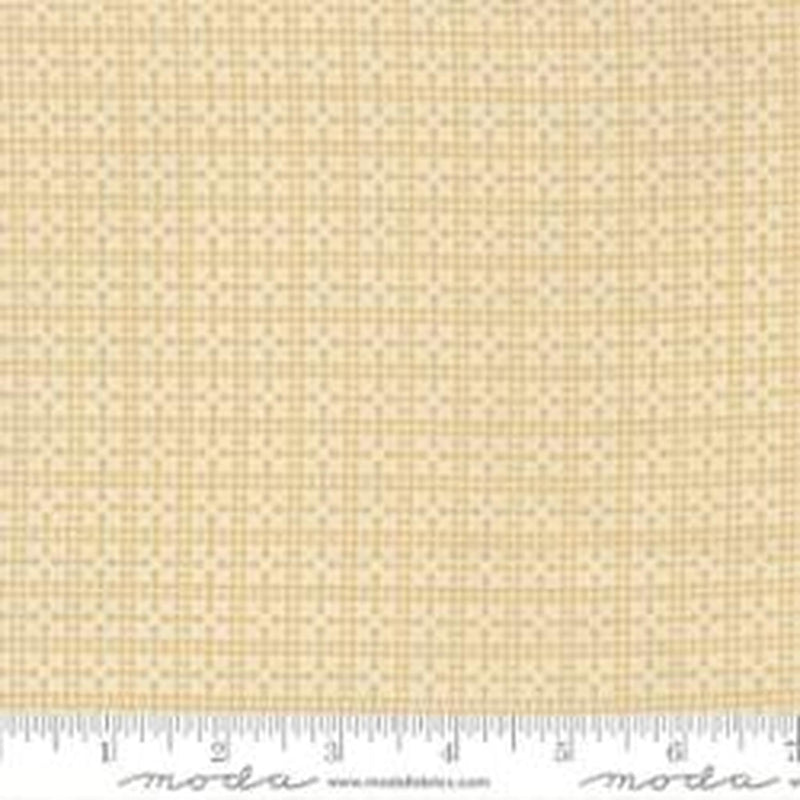 Posh Netting Blenders Check Ivory Whisper